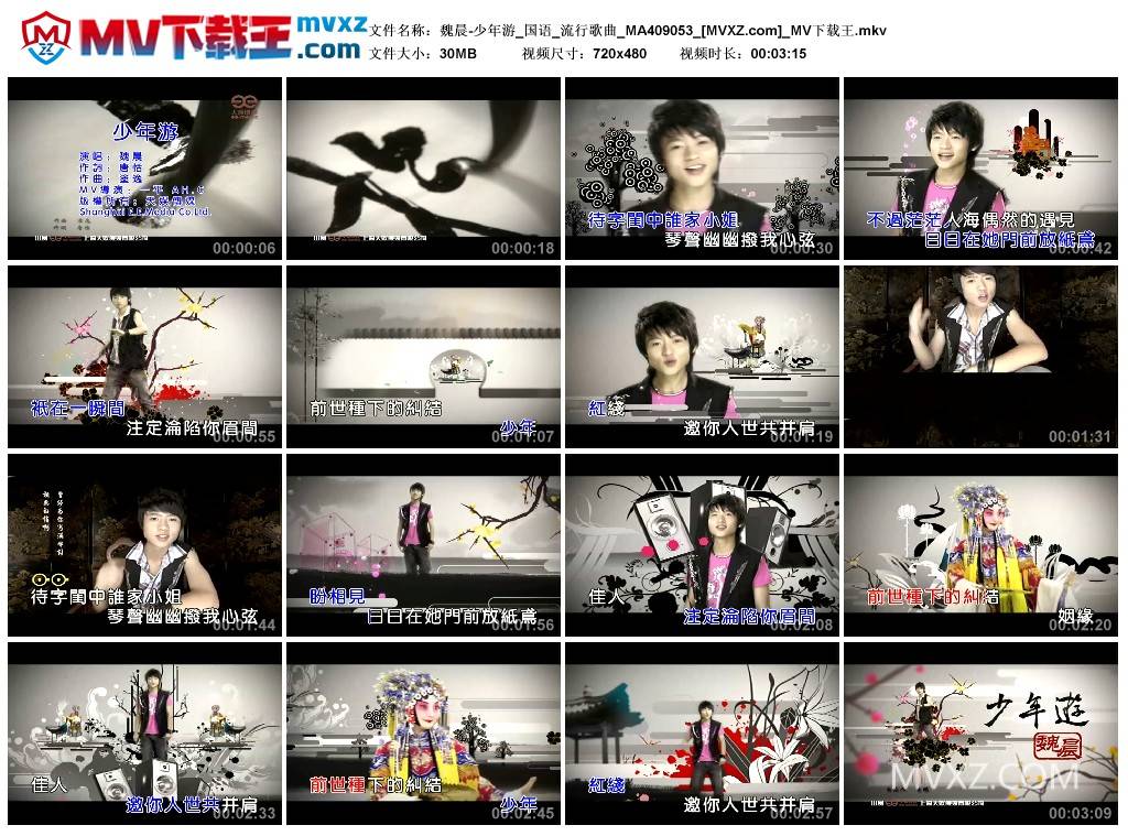 魏晨-少年游_国语_流行歌曲_MA409053